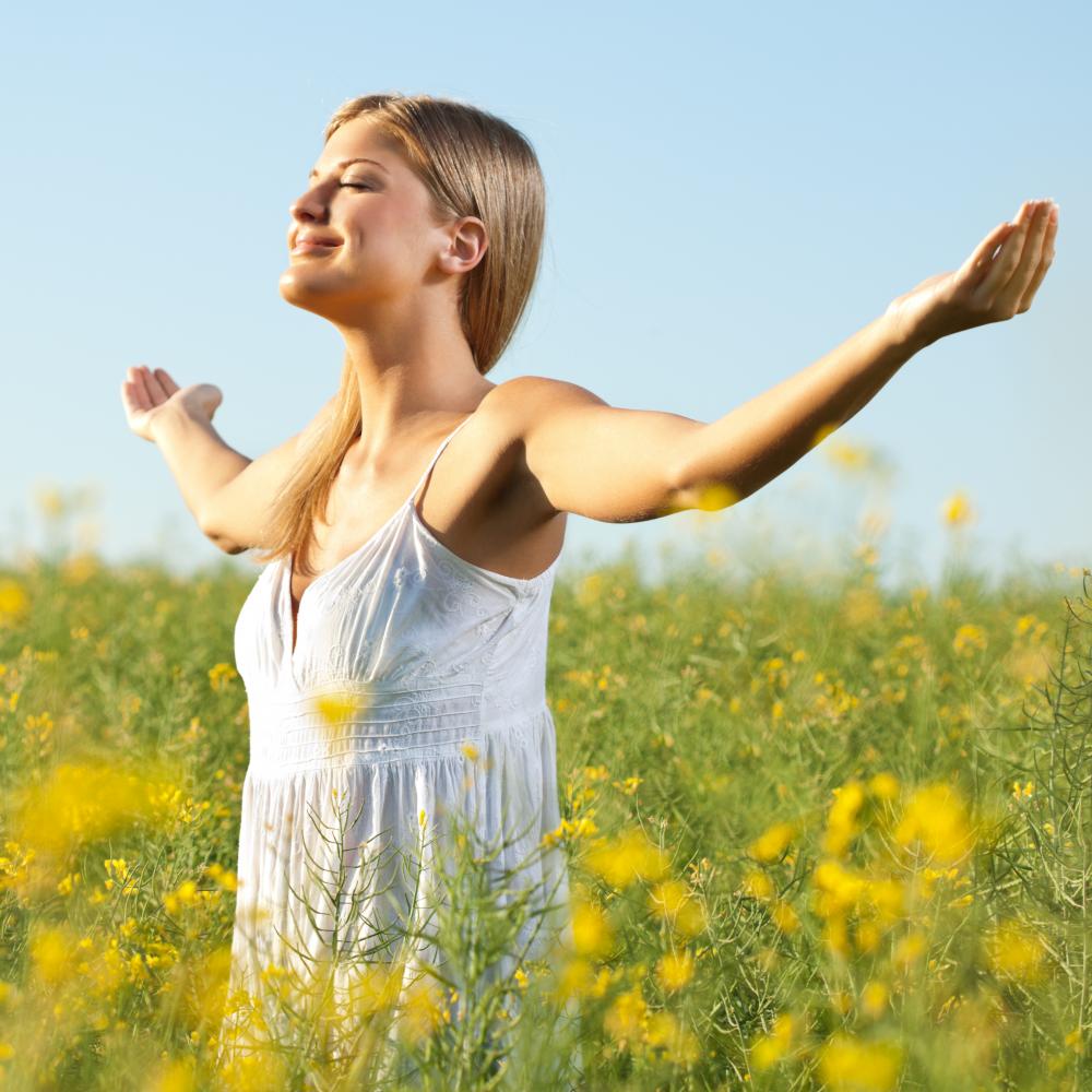 How to Choose the Best Drug Rehab North Hollywood?